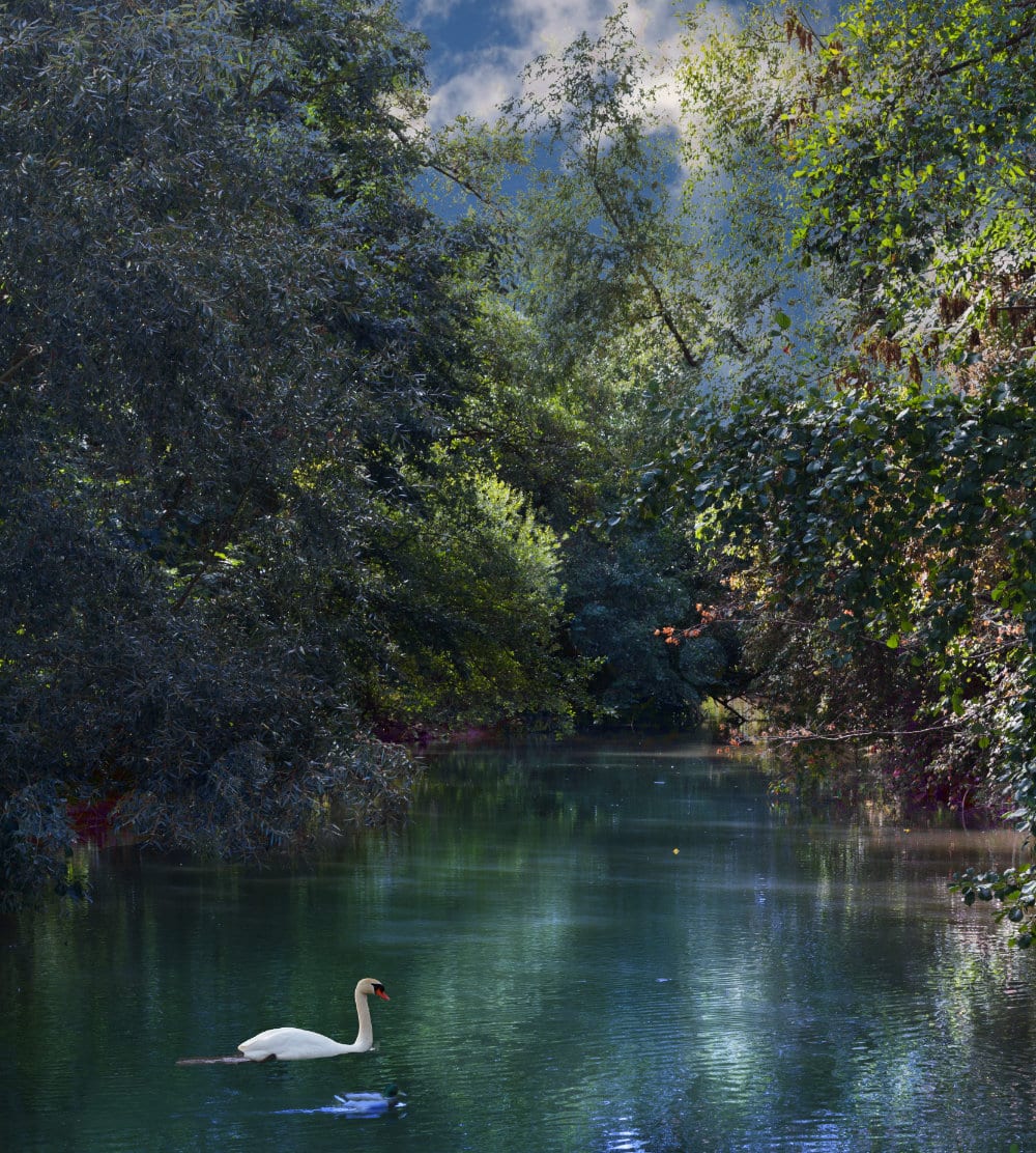 Calm, natural therapeutic environment